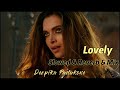 Lovely Slowed Reverb Mix Deepikapadukone Shahrukh India