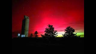 Pinto Bean Live Wrap up 11 14 25 Profile
