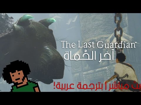 بث مسجل | اخر الحماه | ذا لاست جارديان | بترجمة عربية | The Last Guardian - بث مسجل | اخر الحماه | ذا لاست جارديان | بترجمة عربية | The Last Guardian