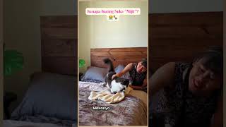 Kucingmu Suka Mijit Ga? 😭🐾