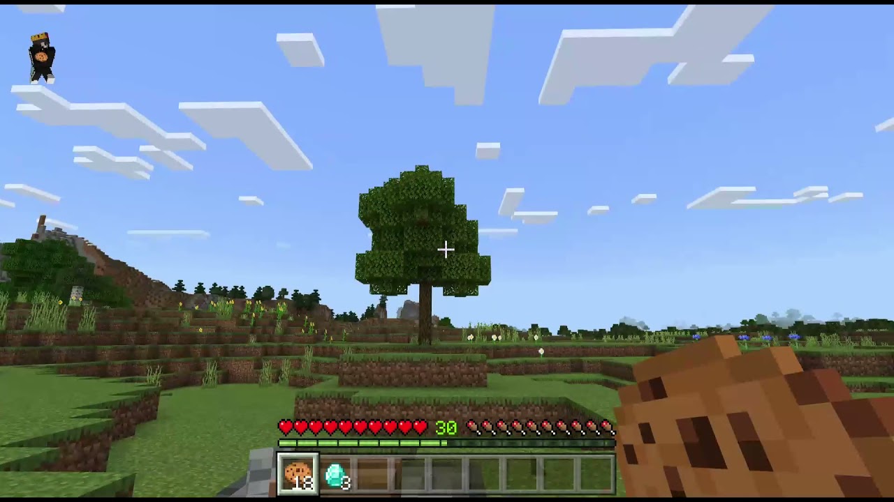 Hello guys welcome to my minecraft let's play