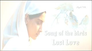 Song of the birds   Lost Love