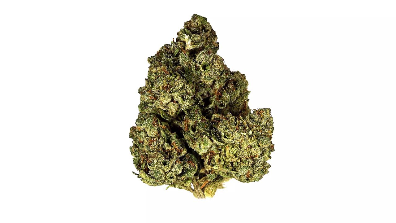 Strain Review: White Angel