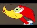 Woody Woodpecker Show | Foiled in Oil | Full Episode | Videos For Kids
