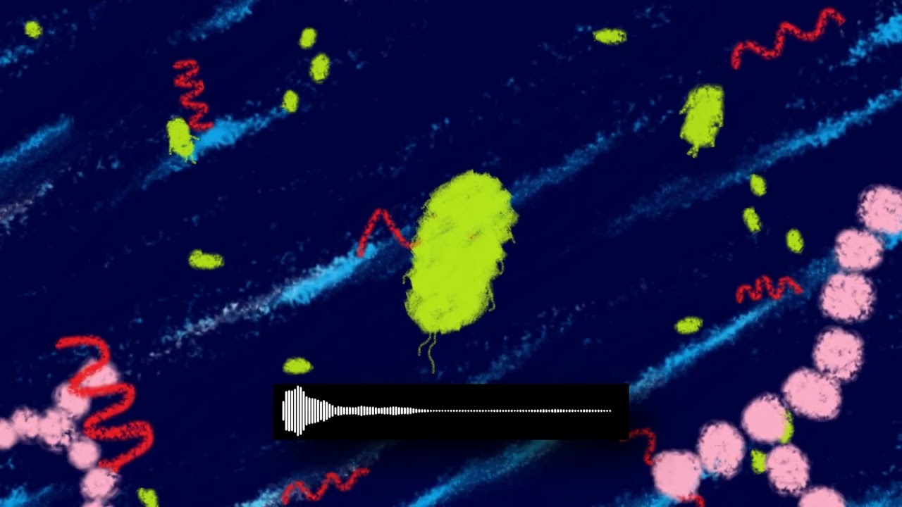 Building intelligent bacterial networks | CCMB Conversations with Sangram Bagh