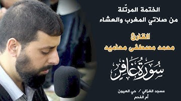 أجمل تلاوة لسورة غافر 📖  الشيخ محمد مصطفى محاميد | سكينة وطمأنينة