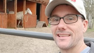 🍅 Daddykirbs Live - YouTube And Real Life - Homesteading