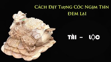 Hướng Dẫn Cách Đặt Tượng Cóc Ngậm Tiền Đảm Bảo Mang Lại Tài Lộc - VIDEO SỐ 2