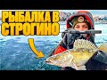 СУДАК на нашем любимом месте. Утренний выход на Строгинской пойме