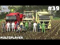 WE HARVESTED MAIZE SILAGE IN GERMAN MOUNTAINS ⛰️🇩🇪| GEISTAL | Farming Simulator 25 Multiplayer |Ep39