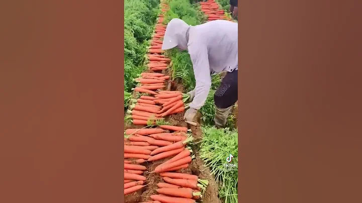 #chinese