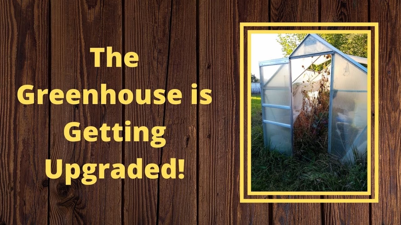 228 Harbor Freight Greenhouse Upgrade YouTube