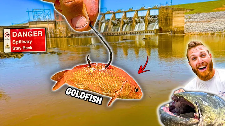 Fishing for Spillway MONSTERS w/ UNUSUAL Bait!! (HUGE Unexpected Fish)