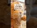しつこくスマホ要求どうしてる?