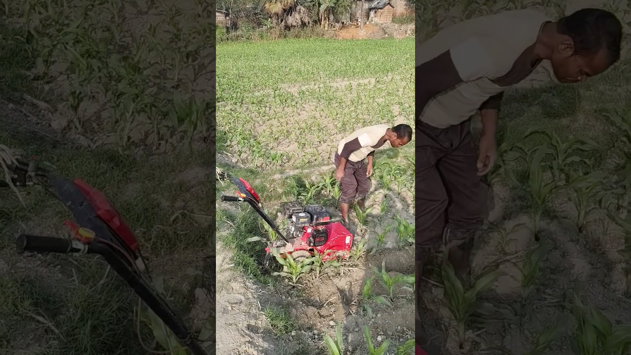 3 hp Mini power weeder rotavator cultivatorkolpe 