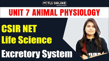 Unit-7 System Physiology-Animal |Excretory system | CSIR NET Life Sciences | Shruti Shukla |