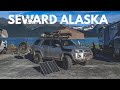 S1:E43 Camping in Seward & Sled dog PUPPIES! - Lifestyle Overland