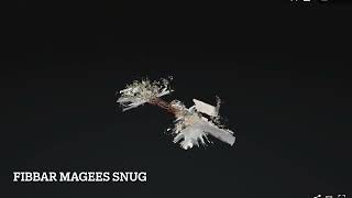 Fibbar Magees Sunnyvale Available for private parties