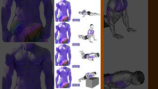 Full Body  workout 5x Per Week: Why High Frequency Training Is So Effective!!!!!!!  | | # YouTube#