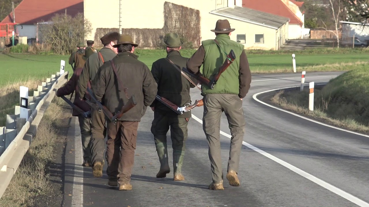 Hon na bažanty 2017