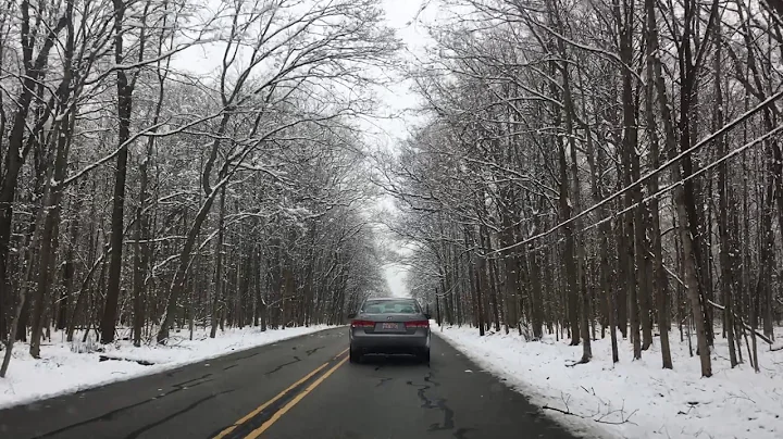 Awesome view on Portwine Road, Riverwoods, IL