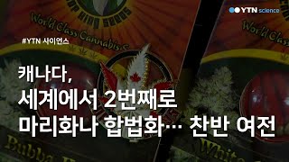캐나다, 세계에서 2번째로 마리화나 합법화...찬반 여전 / YTN 사이언스 screenshot 4