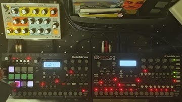 Practice Session with Analog Rytm, Analog Four, and Moog Sirin