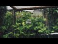 3 hour long  piano music  rain sounds  audiovisual asmr 