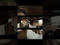 Bulldog Puppies Bring Big Attitude | Wags Chest #shorts #comedy #funny #laughs