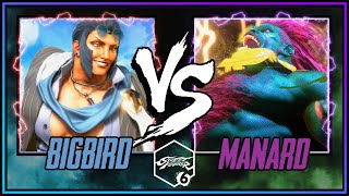 SF6 ➣  BIGBIRD [ MARISA ] VS MENARD [ BLANKA ]  ➣ STREET FIGHTER 6