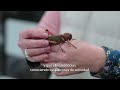 Visita al Área de Restauración y Conservación Ambiental (ARCA) - Semana Ciencia 2024