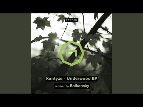 Lust (Kantyze Remix)