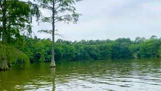Kayaking at Trap Pond