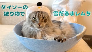 ダイソーのアイテムで雪だるまになっちゃった【大きい猫 メインクーン】 by メインクーンのオリバーとレム 898 views 1 year ago 2 minutes, 38 seconds