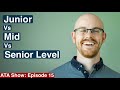 Entry vs Mid vs Senior Level Data Analyst | Alex The Analyst Show | Episode 15