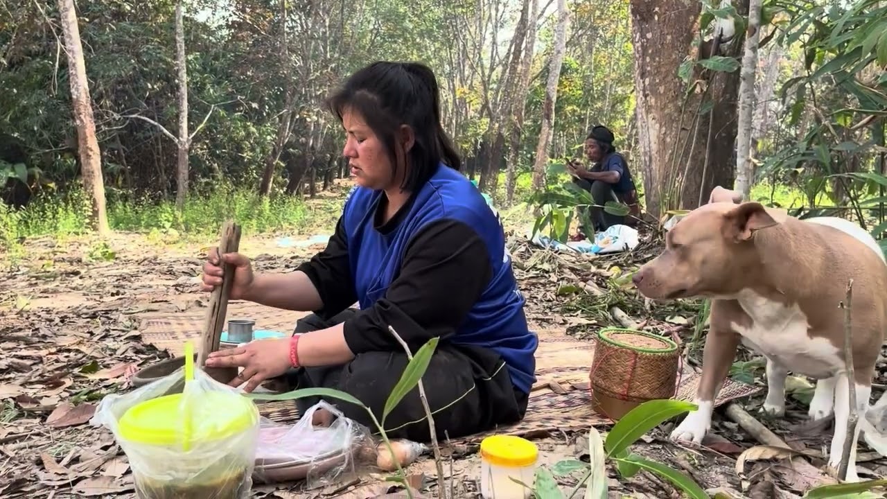 มันสำปะปลูกไว้ 2 ปี ไปขาย  เมนูเที่ยงตำส้มตำ ปลาดุกย่าง EP.4