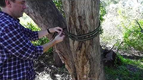 Oak Creek Camping Hammock and Accessories. Complete Package Includes Mosquito Net, Rain Fly, Reviews