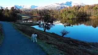 winter scenery, tarn hows by HENRYHOBBS1 92 views 9 years ago 39 seconds