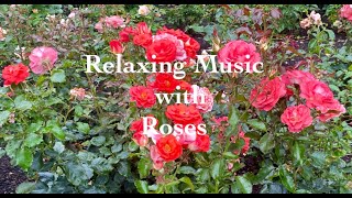 Relaxing Music with Roses by Eustress New Zealand 250 views 2 months ago 2 hours