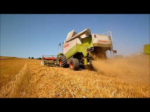 Video: Co není zemědělství Jaké jsou výhody a nevýhody?