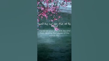 وٱصبِر نفسك مع ٱلذين يدعون ربهم بِٱلغدوٰة وٱلعشى يريدون وجههۥ ۖ ) سورة الكهف الآيه 28 قرآن _ Quran.