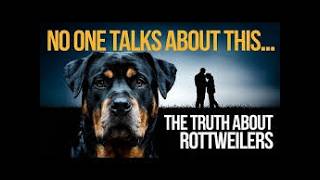 Rottweiler Myths Debunked: Facts vs Fiction
