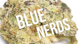 Blue Nerds