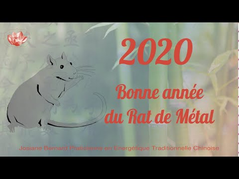 Vidéo: Que Signifie 2020 Année Du Rat De Métal?
