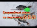 Окунь на мормышку🎣🎣🎣