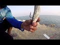 Fishing at al khor thakira travel  by himalayan anglers