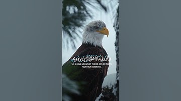  هَذَا خَلْقُ اللَّهِ - سورة لقمان - تلاوة خاشعة بصوت محمد هشام