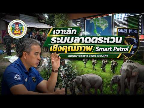 Scoop: An In-Depth Look at the Smart Patrol System