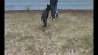 Daphne Dixie X Jerry Lee