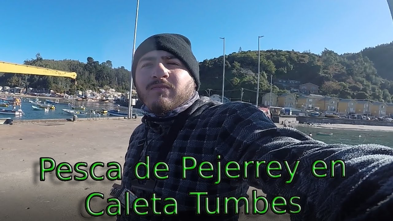 Pesca de pejerrey en caleta tumbes. #fishingvideo #chile #fishing #pesca #ccp #talcahuano